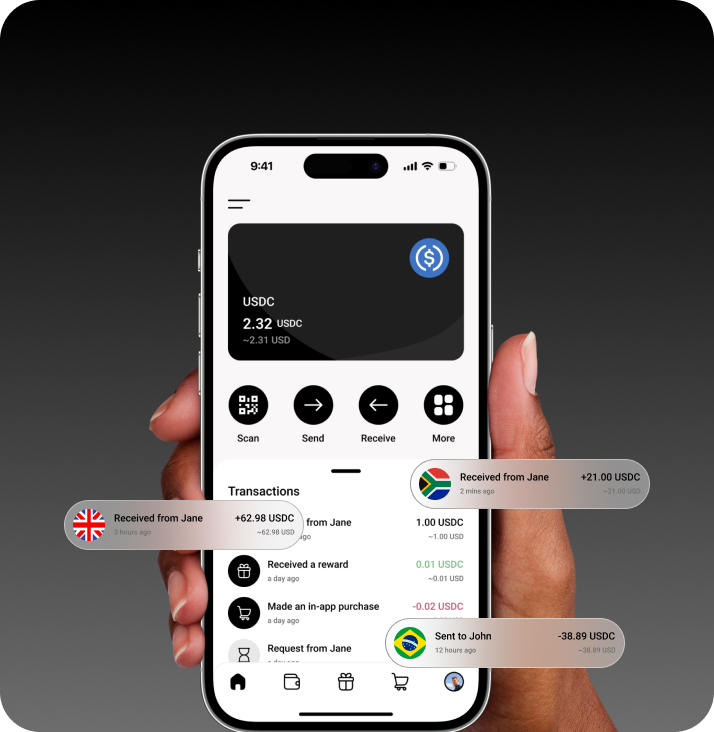 Rehive Pay live implementation interface